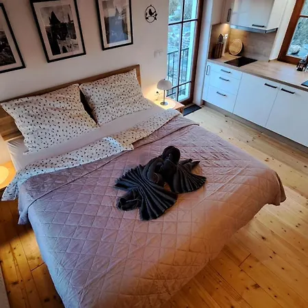 Petidomi 88 - Rozmberska