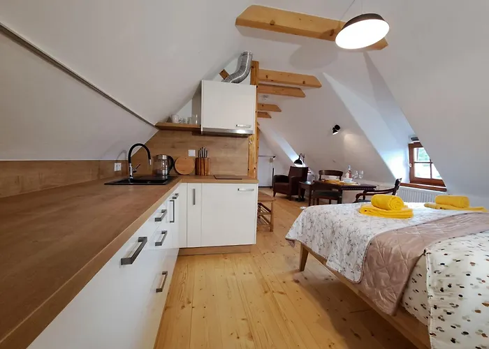 Petidomi 88 - Rozmberska 4* Český Krumlov