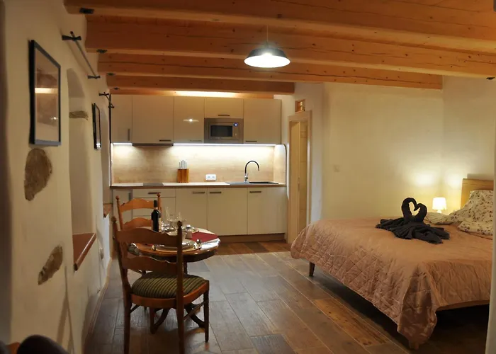 ゲストハウス Petidomi 88 - Rozmberska 4*