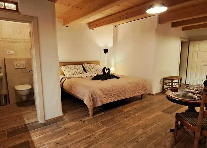 Gæstehus Petidomi 88 - Rozmberska 4*