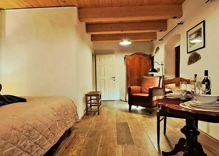 Petidomi 88 - Rozmberska