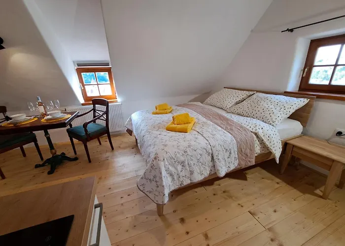 Petidomi 88 - Rozmberska 4*