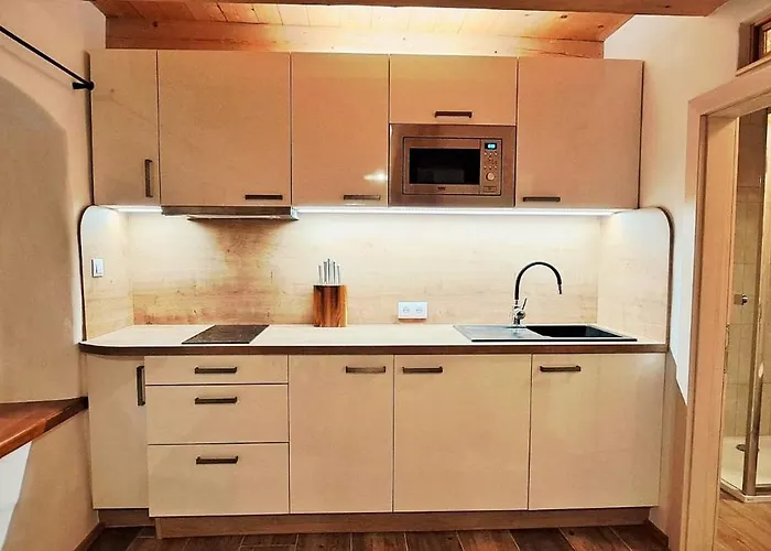 ゲストハウス Petidomi 88 - Rozmberska