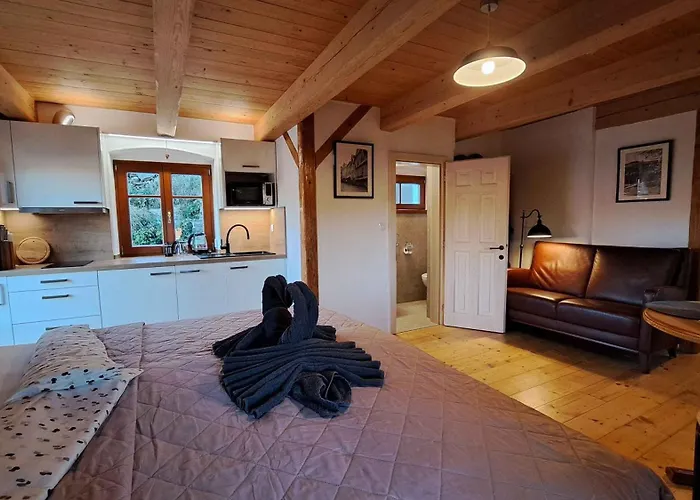 Petidomi 88 - Rozmberska