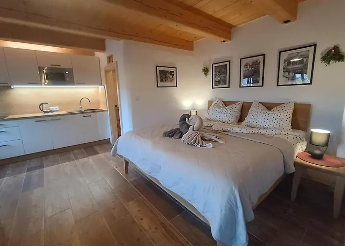 Petidomi 88 - Rozmberska 4* Český Krumlov