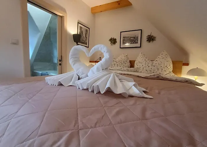 Petidomi 88 - Rozmberska