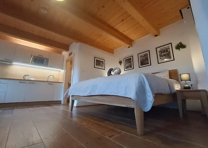 Petidomi 88 - Rozmberska 4*